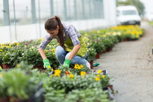 Garden maintenance pricing for a terraced home in Upton Park