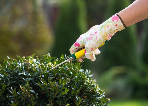 Transparent pricing for garden services in Upton Park