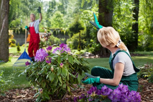 Low-maintenance landscape garden in Upton Park with structured planting