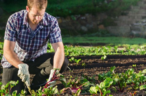 Supplier audit process for ethical gardening operations in Upton Park