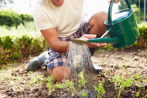Professional team clearing a neglected garden in Upton Park