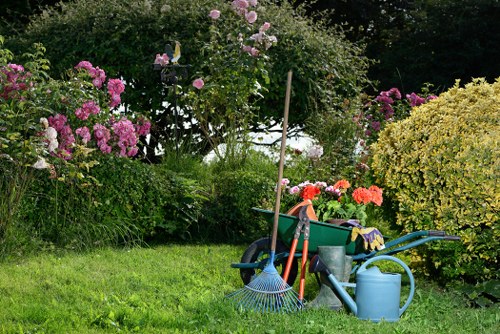 Professional gardening services in Upton Park for tidy outdoor spaces