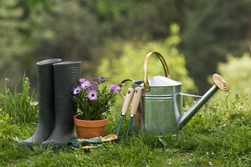 Lawn and hedge maintenance in an Upton Park residential garden