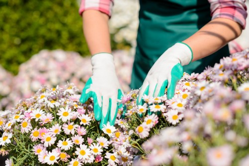 Awareness of modern slavery risks in the Upton Park gardening service