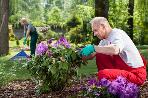 Long-term hedge trimming results in Upton Park