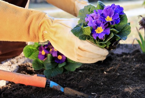 Stump grinding and tree removal service in Upton Park