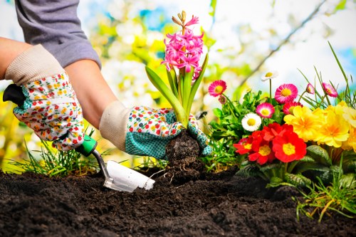 Professional gardeners in Upton Park completing a safe garden service