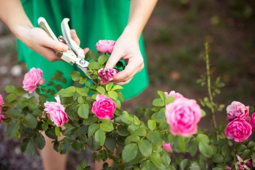 Final stage of a gardeners complaint process