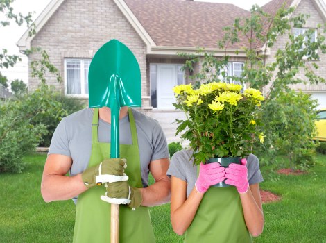Lawn care and hedge trimming by gardeners in Upton Park