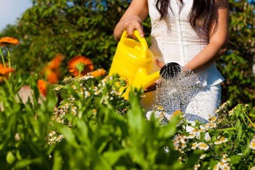 Professional garden maintenance in Upton Park