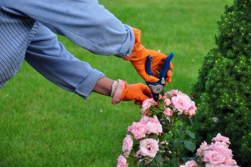 Green grass maintenance and edging in Upton Park
