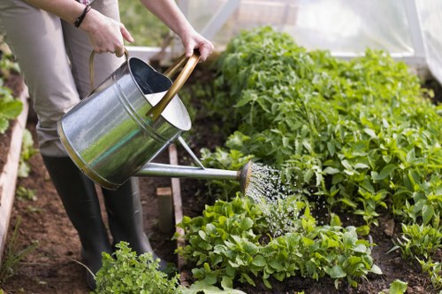 Well-kept garden lawn in Upton Park after routine care