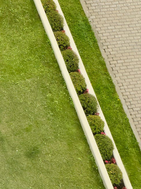 A neatly maintained garden featuring a row of rounded, well-trimmed bushes planted in a white, rectangular garden bed border. The bed is situated along a patch of lush, green grass that appears evenly