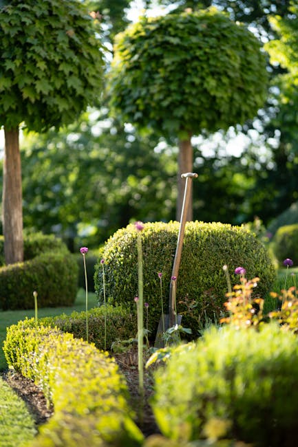 A neatly maintained garden featuring a row of rounded, well-trimmed bushes planted in a white, rectangular garden bed border. The bed is situated along a patch of lush, green grass that appears evenly